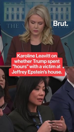 During a White House press briefing on November 12, Press Secretary Karoline Leavitt addressed newly...